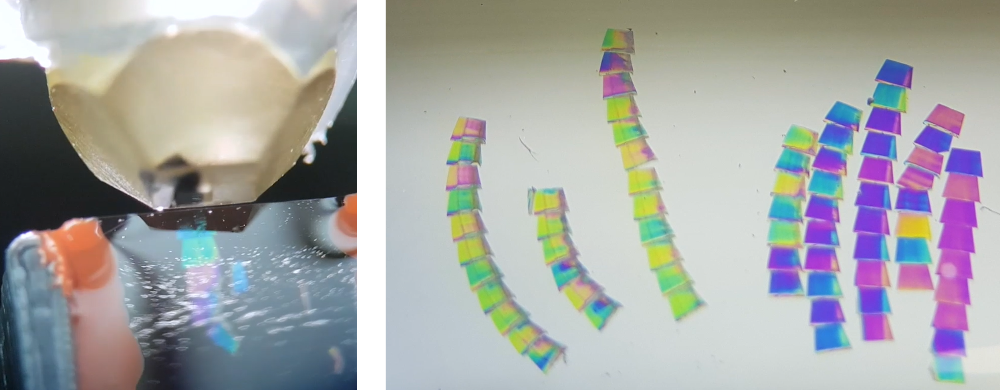 ../_images/sections-and-ribbons.png