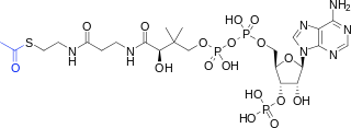 ../_images/image115.png