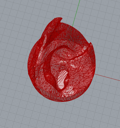 ear_3d_simplified
