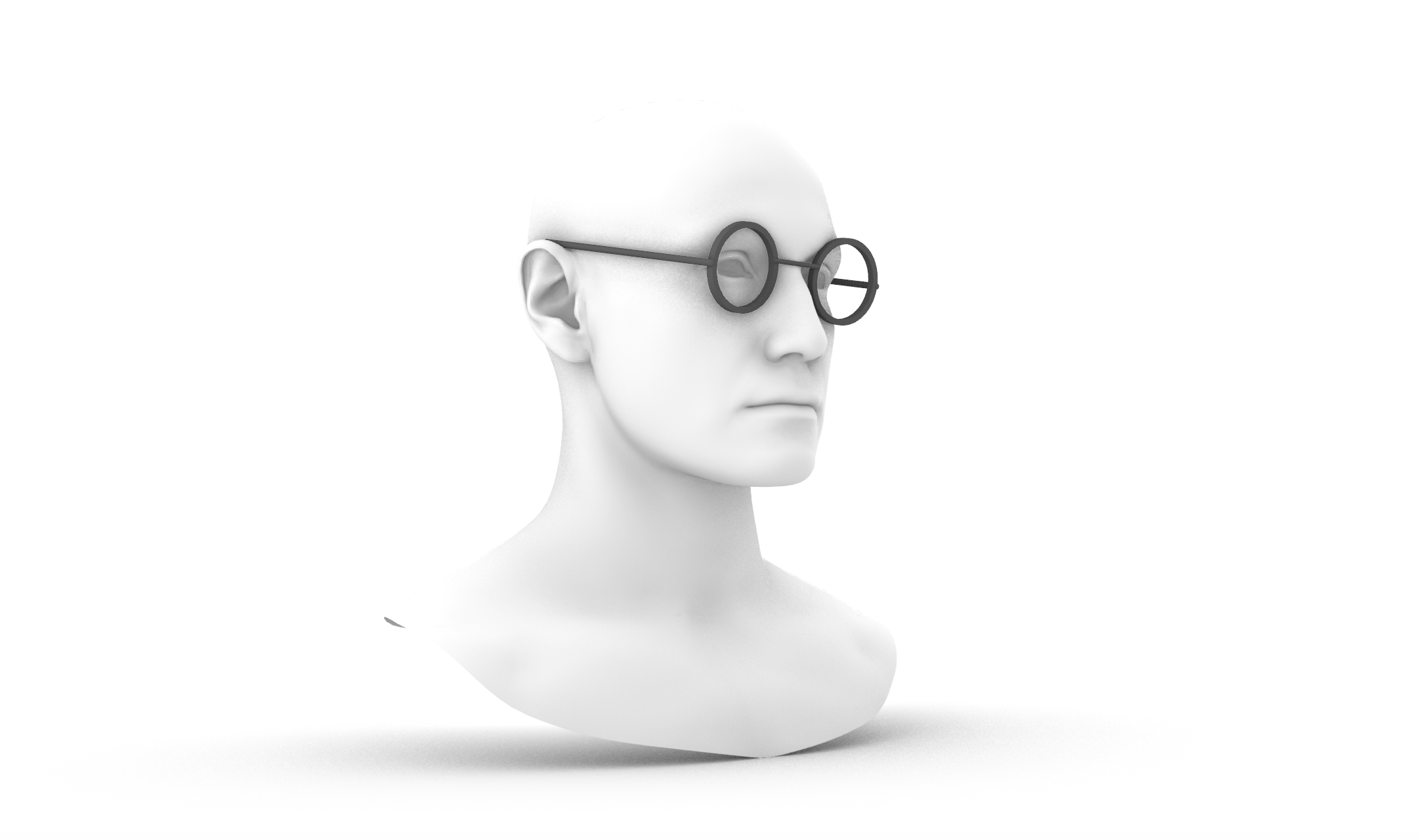 ../../../../_images/glasses_model_1.png