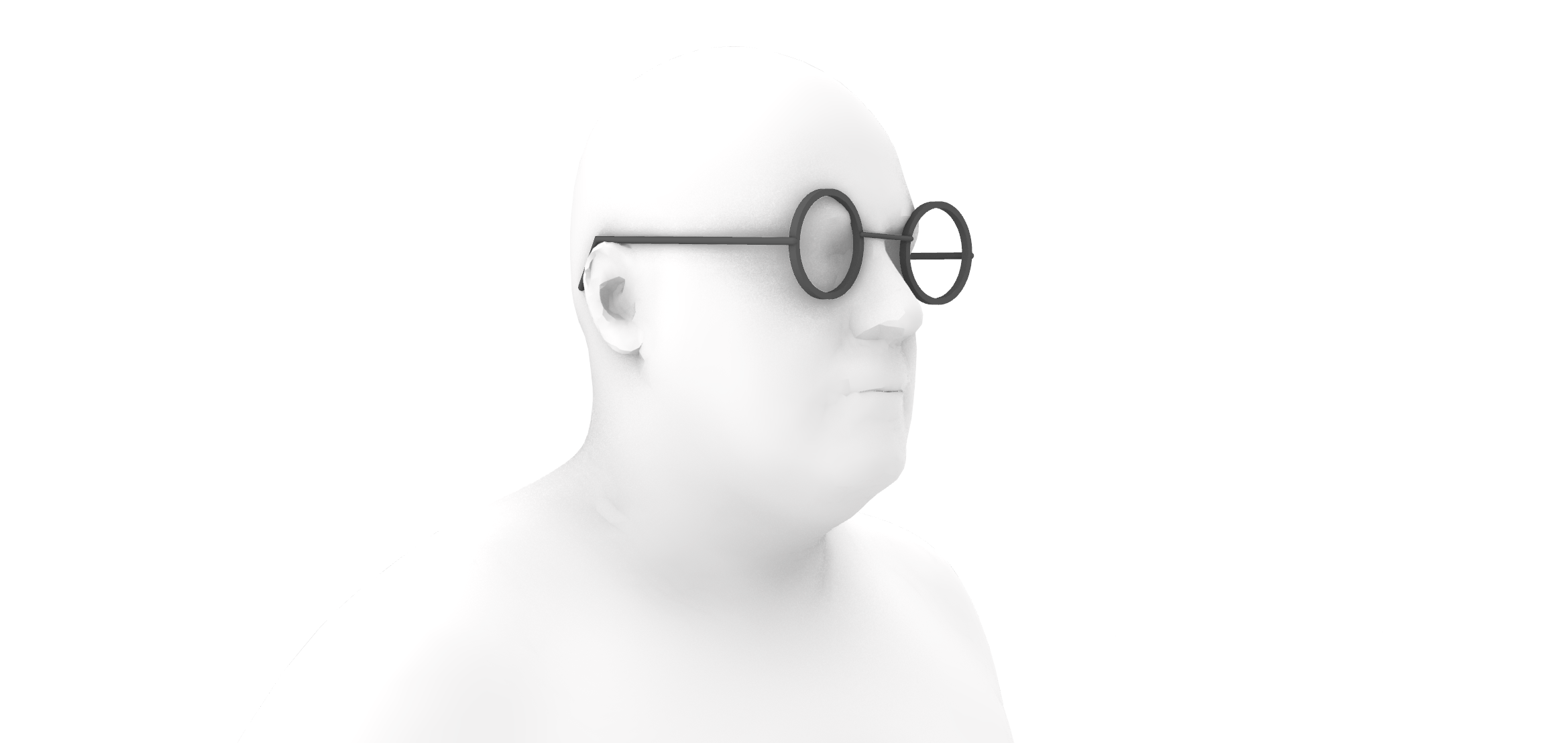 ../../../../_images/glasses_model_2.png