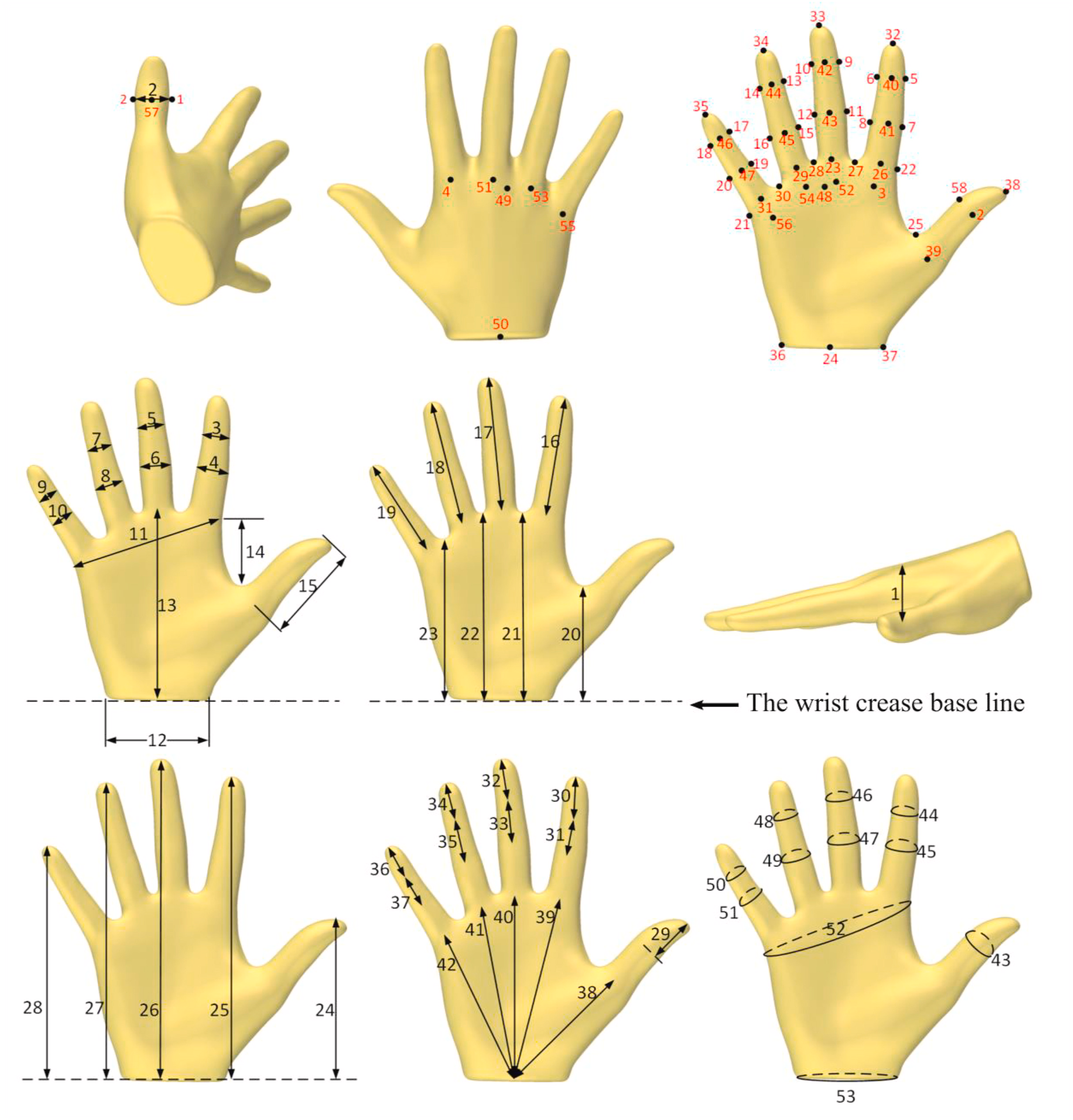 ../../../../_images/key_hand_measurements.png