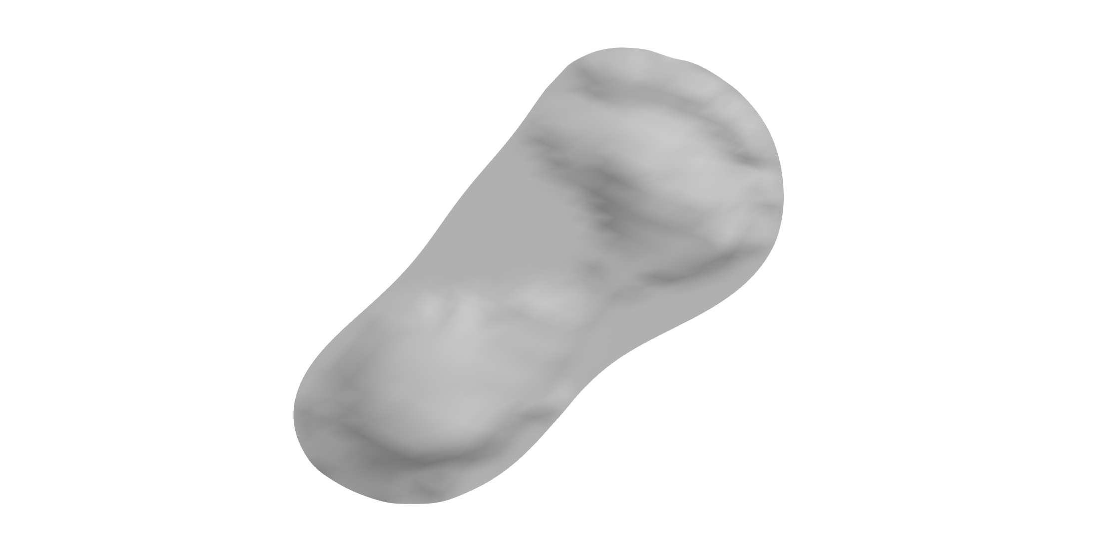 shape_of_sole_render.png
