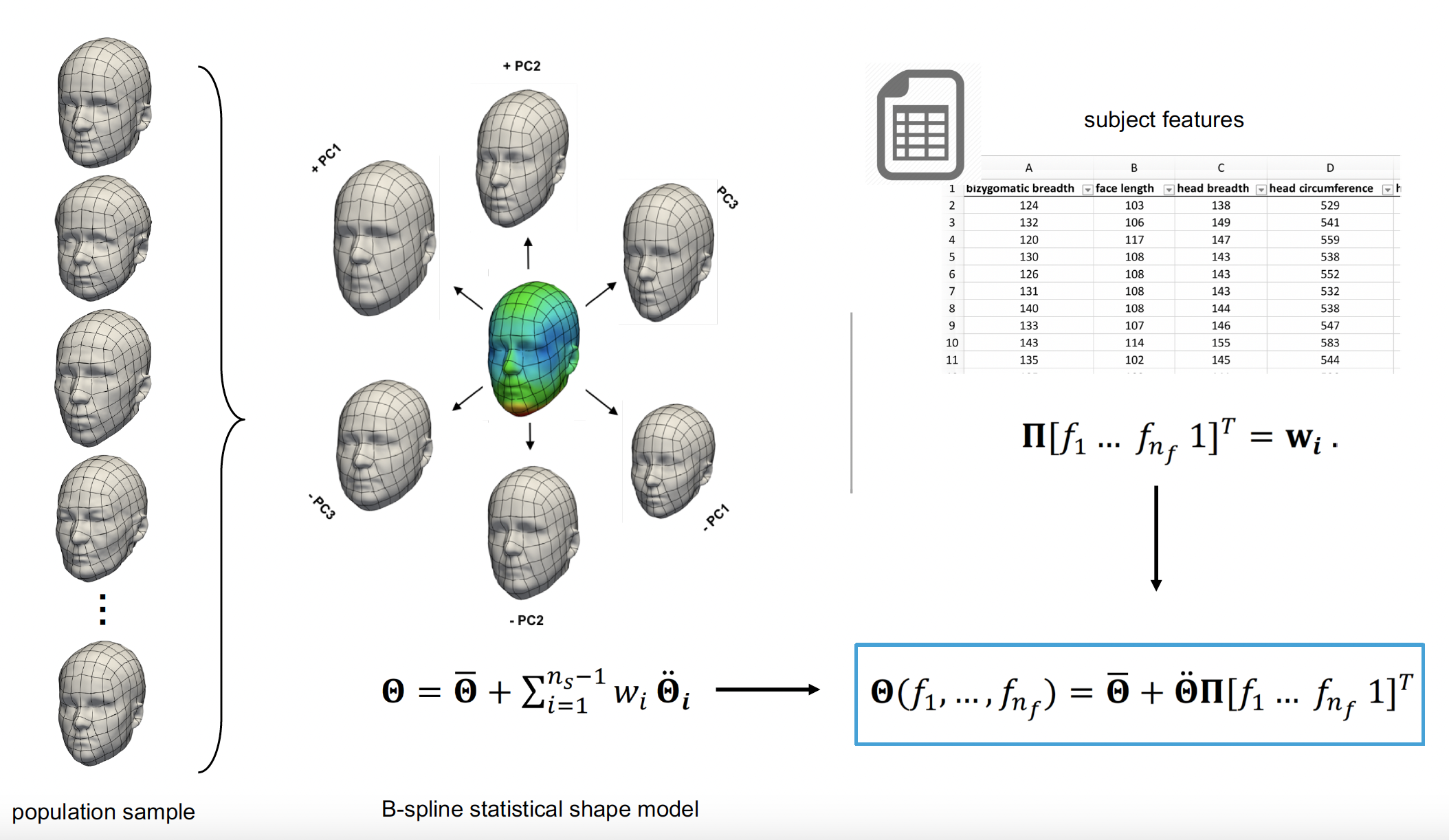 ../../../../_images/statistical_shape_modeling.png