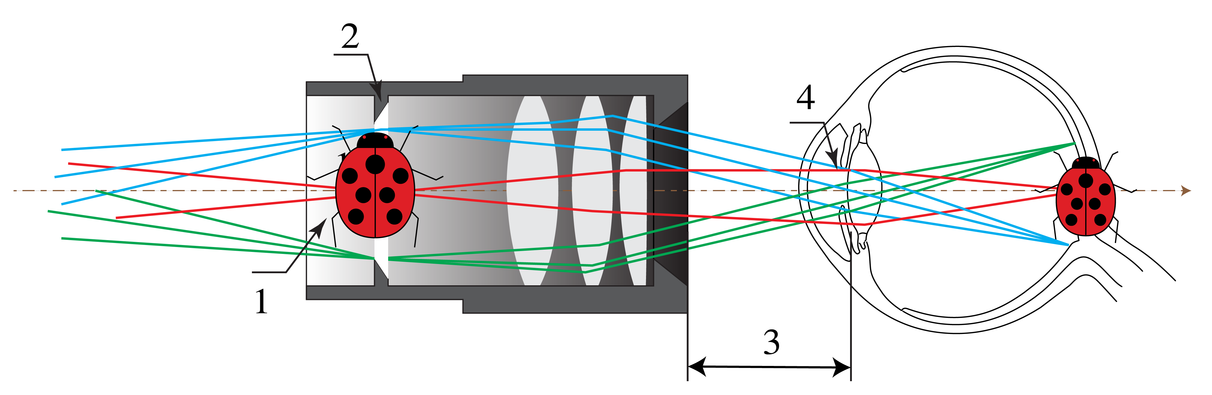 ../../_images/3_10_EyePiece.png