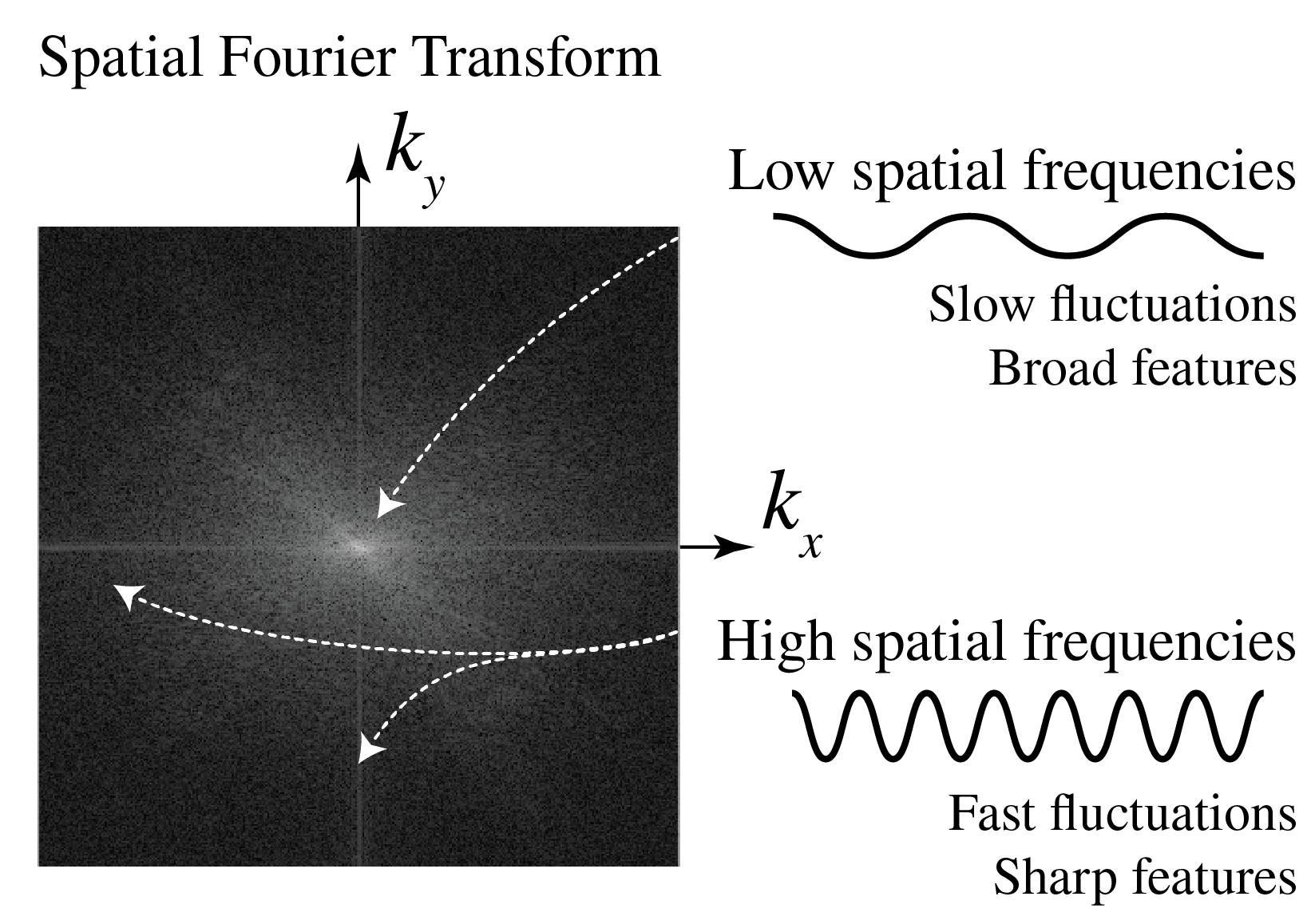 ../../_images/6_04_Spatial_Fourier_Transform.png